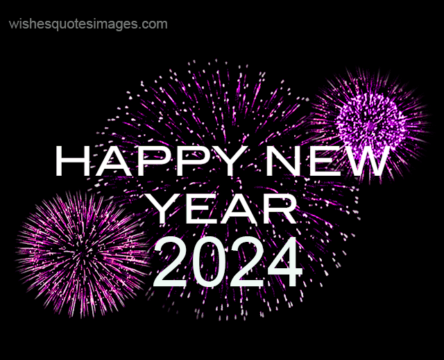 Happy New Year 2024 NovelPro Junkie